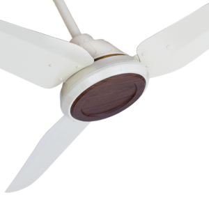 3 blade ceiling fan