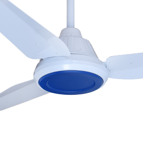 blue ceiling fan in pakistan